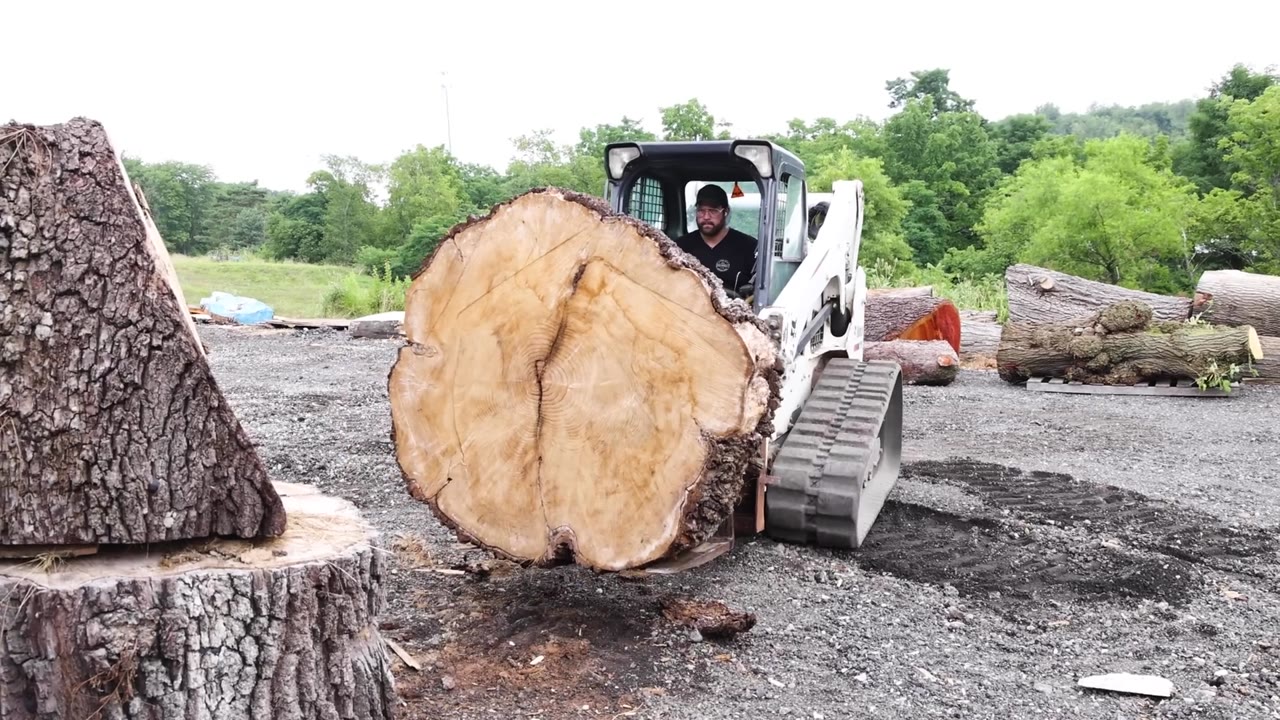 He cut open a giant tree trunk and found metal buried deep inside