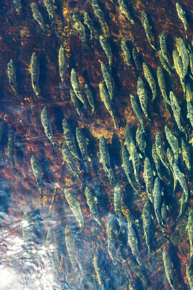 6 places in the US where travelers can hunt, fish, or forage for their ...