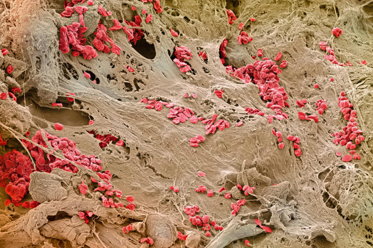 ‘We’re standing at a threshold’: A mind-blowing new discovery could ...