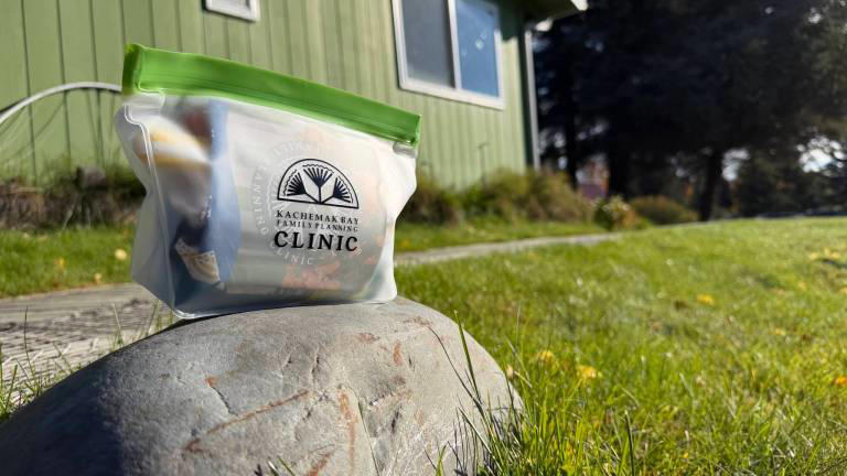 Homer clinic gets $727K for new postpartum home-visit program