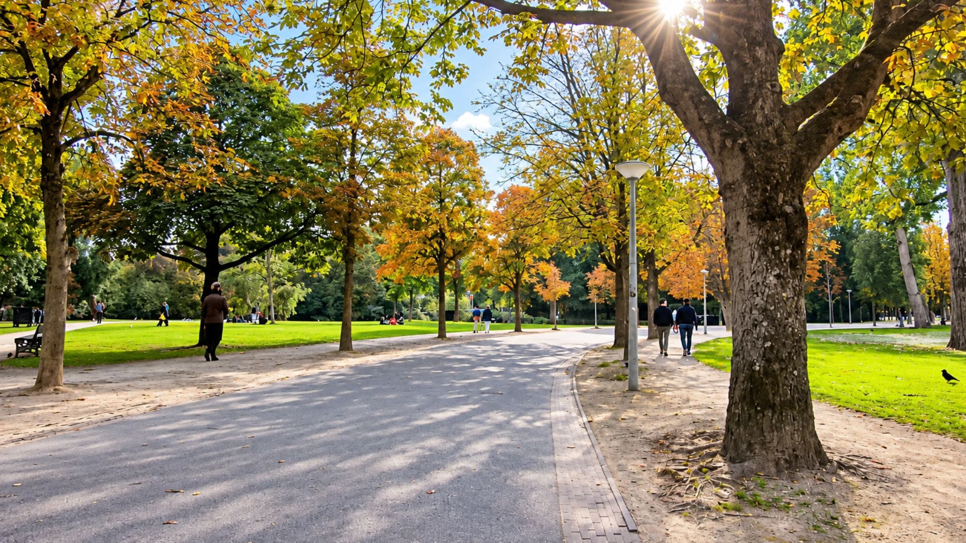 Autumn colors take over Amsterdam's Vondelpark (4K)