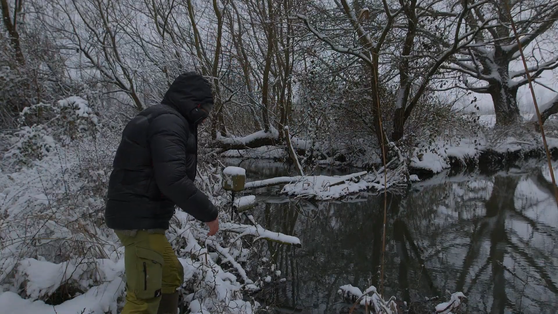 Setting up DSLR camera traps in freezing snow