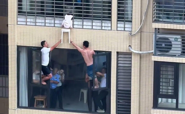 Moment residents rescue girl, 3, dangling from 12th-floor window