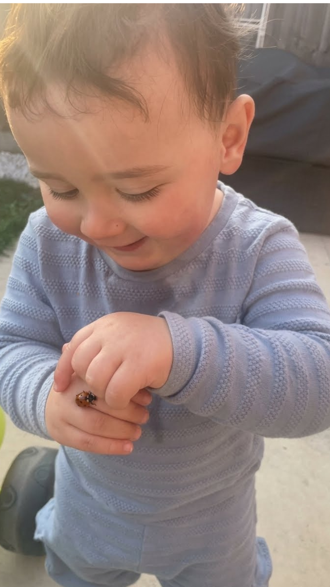 Curious toddler reaches toward a ladybug