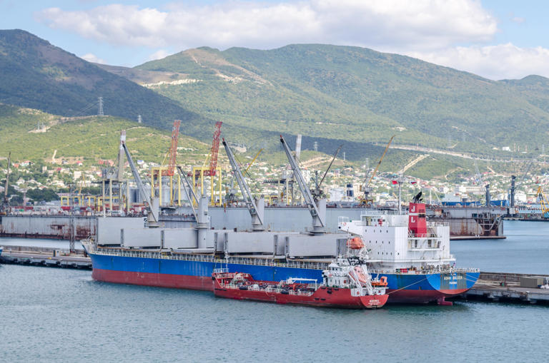 Ukrainian drone pressure reportedly cuts three Russian ports’ cargo up ...