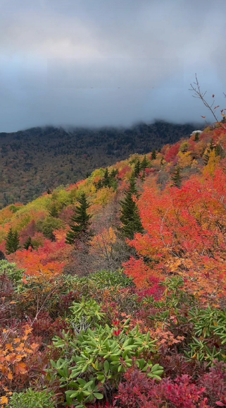 Blue Ridge Parkway hiking trails reopen at Rough Ridge and Linn Cove