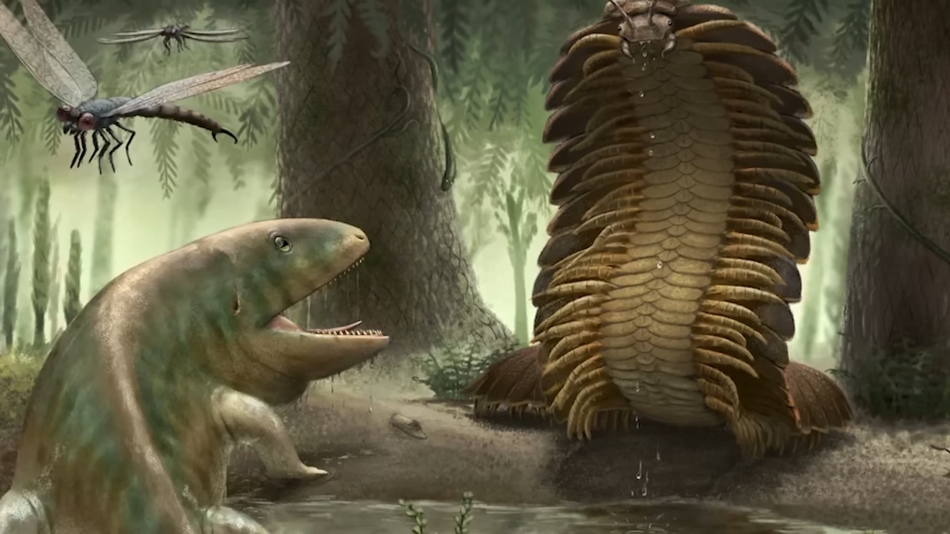 A millipede over two metres long lived among ancient swamp trees