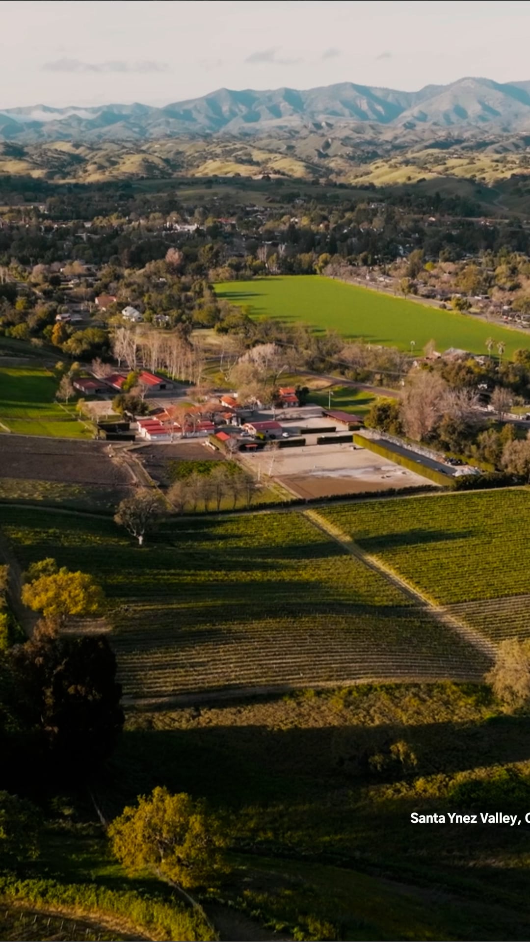 Amerikanske vingårder: Droneflyvning fra Napa til Willamette vingårder