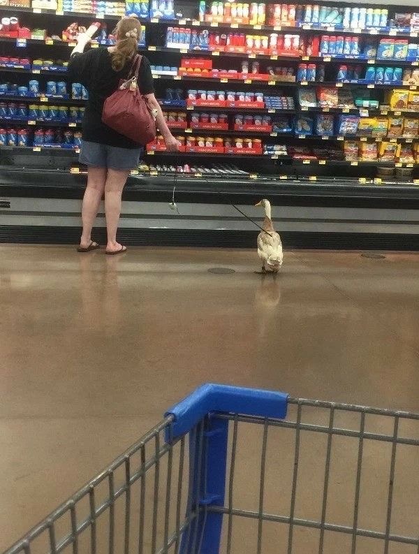 New Friend