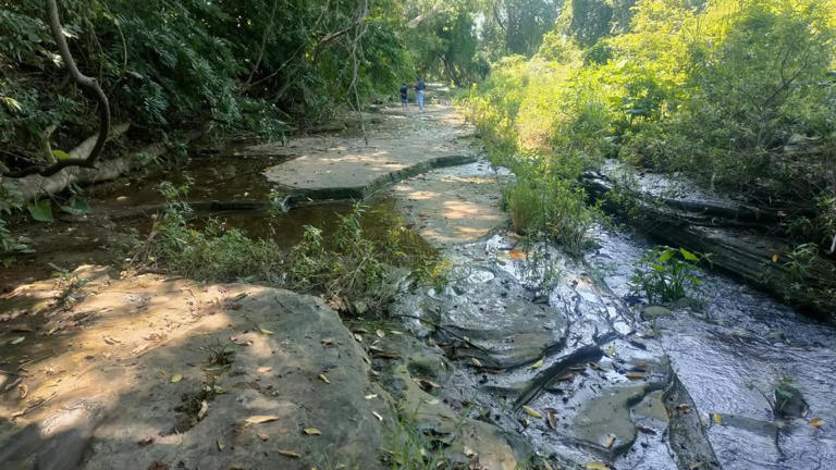 Villagers spotted strange marks by a Mexican stream. They turned out to ...