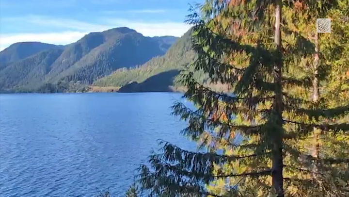 A peek through the trees at Cousin's Inlet in British Columbia
