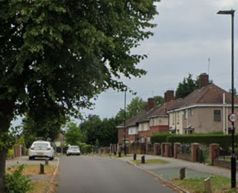 Dog injured in attack on Sheffield estate after reports of two loose ...