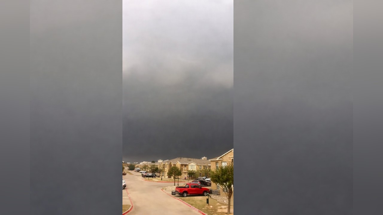 Birds fly away as a tornado is caught on camera