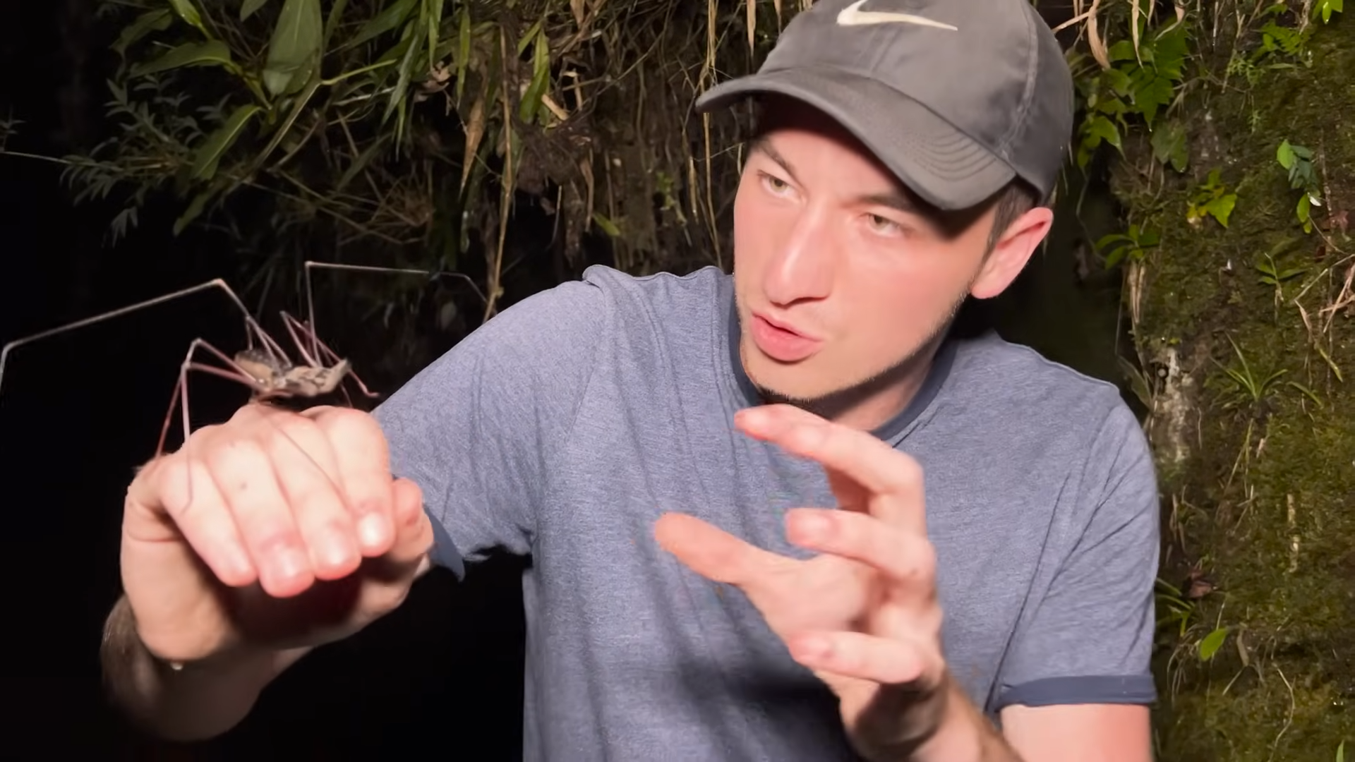 Spider fangs do more than deliver a painful bite