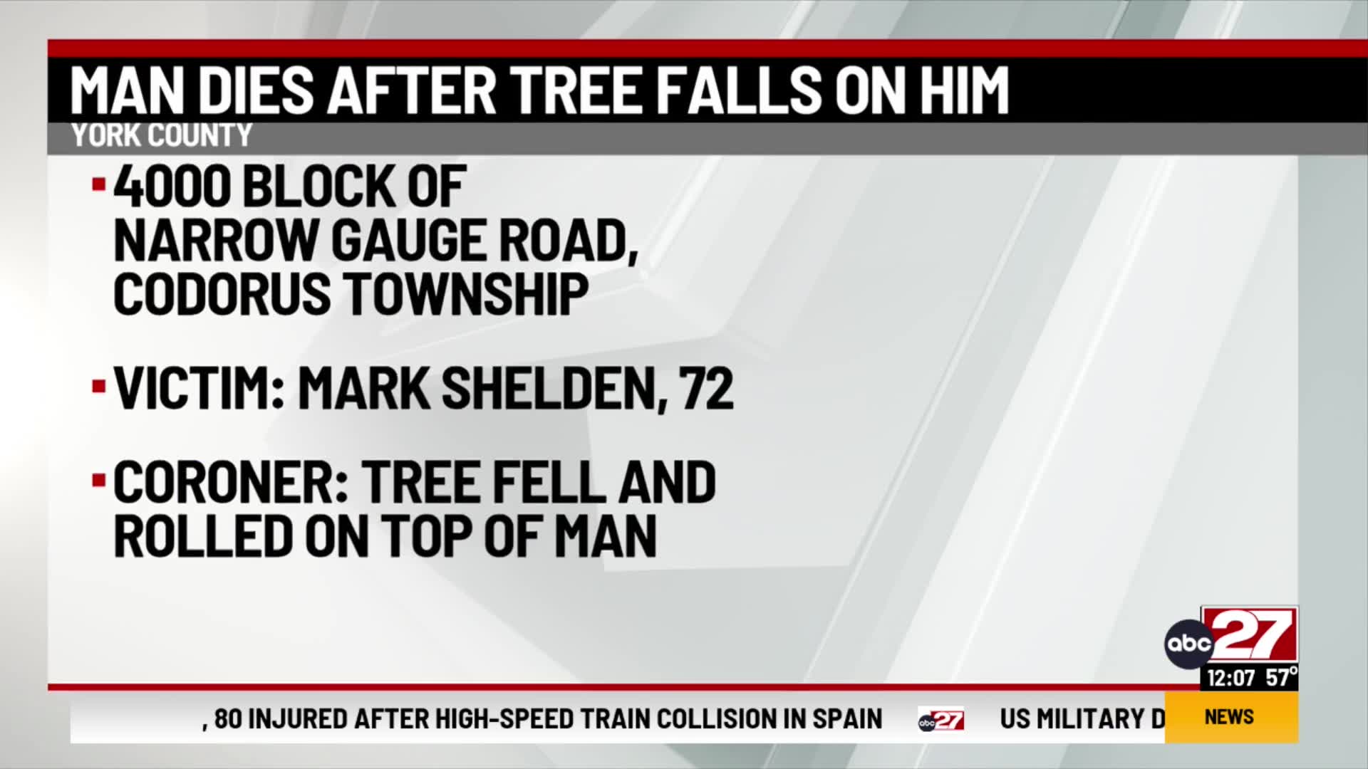 Man dies after tree falls on him