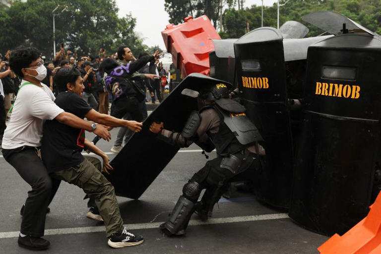 As forest fires rage, hundreds of Indonesian students protest ...