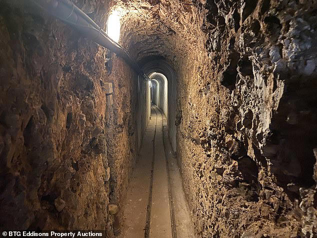 House with underground network of passages dug for family fun sells for ...