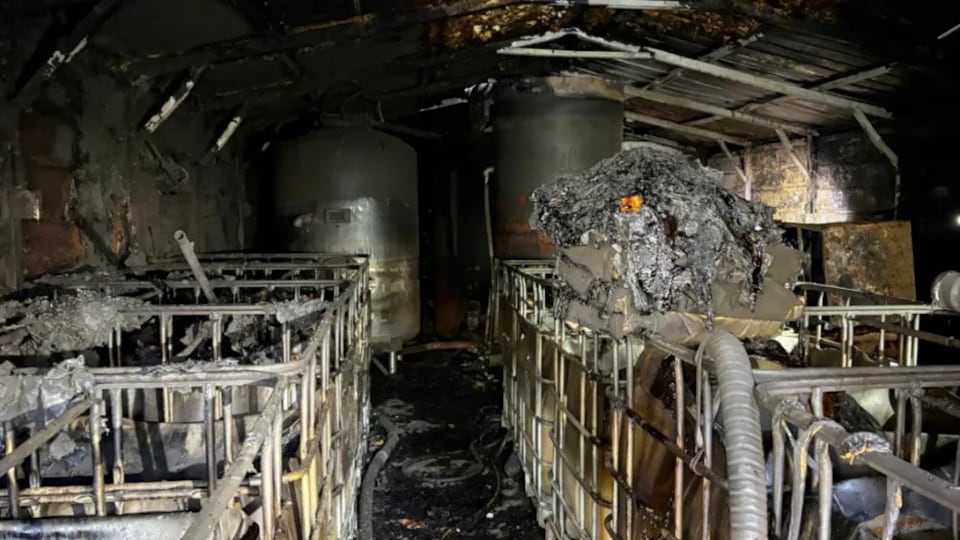 Explosion uncovers illegal moonshine operation in NC mountains
