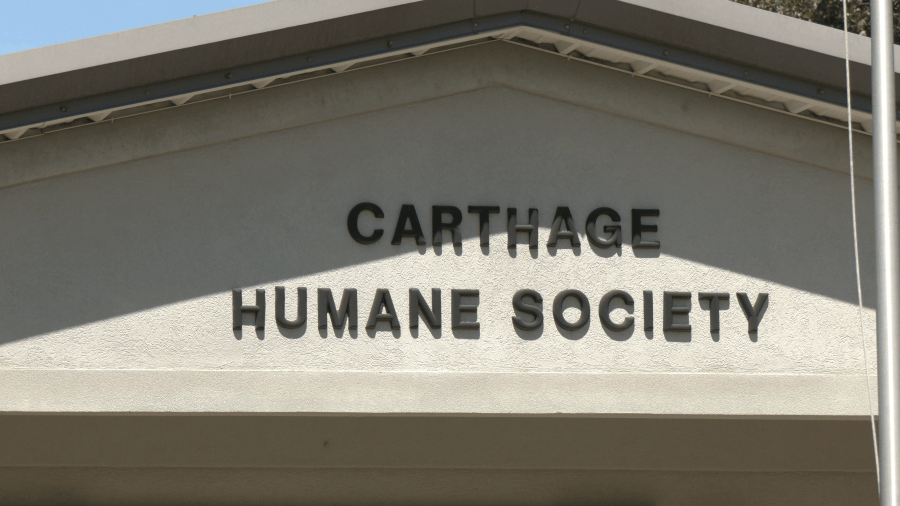 Virus outbreak puts Carthage Humane Society on lockdown