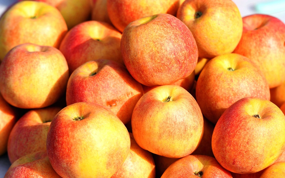 Find your perfect apple time for health