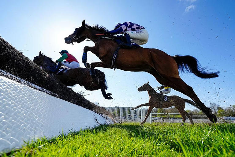 British horse racing significantly damaged by John Healey's budget as ...