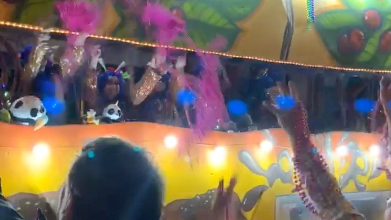 Mardi Gras parade gender reveal | Happily