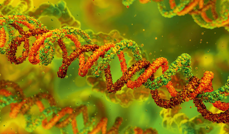 ‘We’re standing at a threshold’: A mind-blowing new discovery could ...