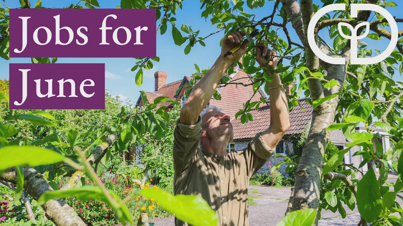 June's fantastic new harvests, exciting flavours and possibilities to ...