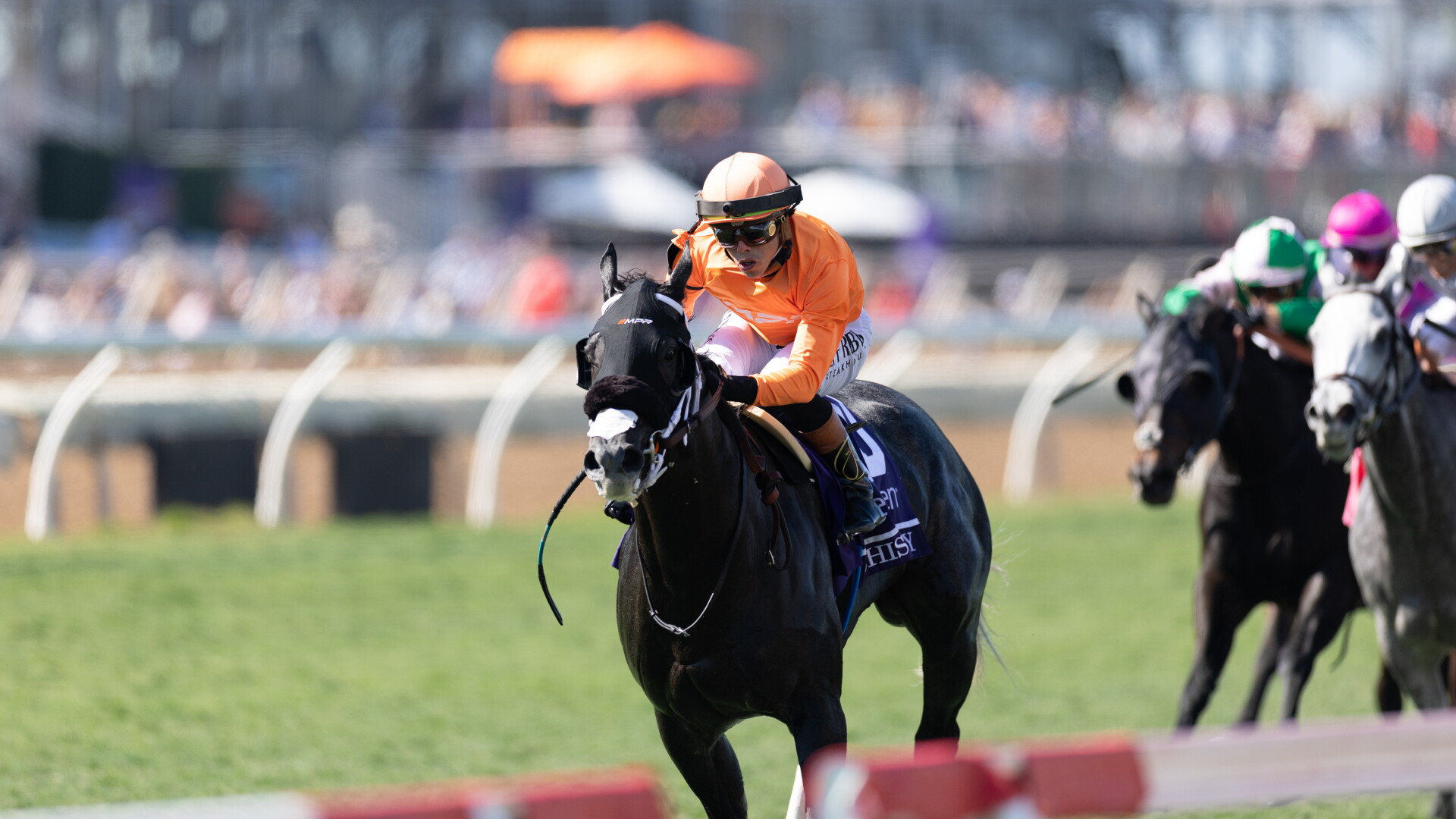 2026 Breeders' Cup prize money: Full purse payout by race, horse and ...