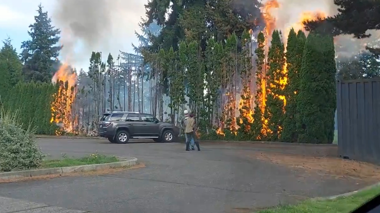 Highlands Golf Course in Tacoma faces fire damage to trees and vegetation