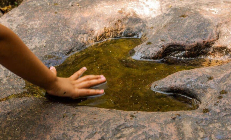 Villagers spotted strange marks by a Mexican stream. They turned out to ...