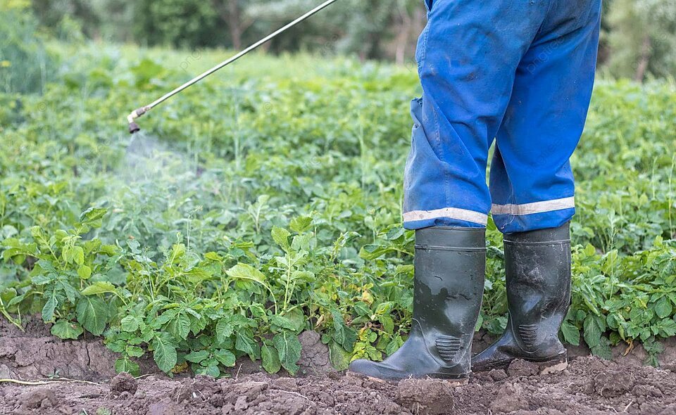 Vive moves towards US launch of dual-action insecticide as state ...