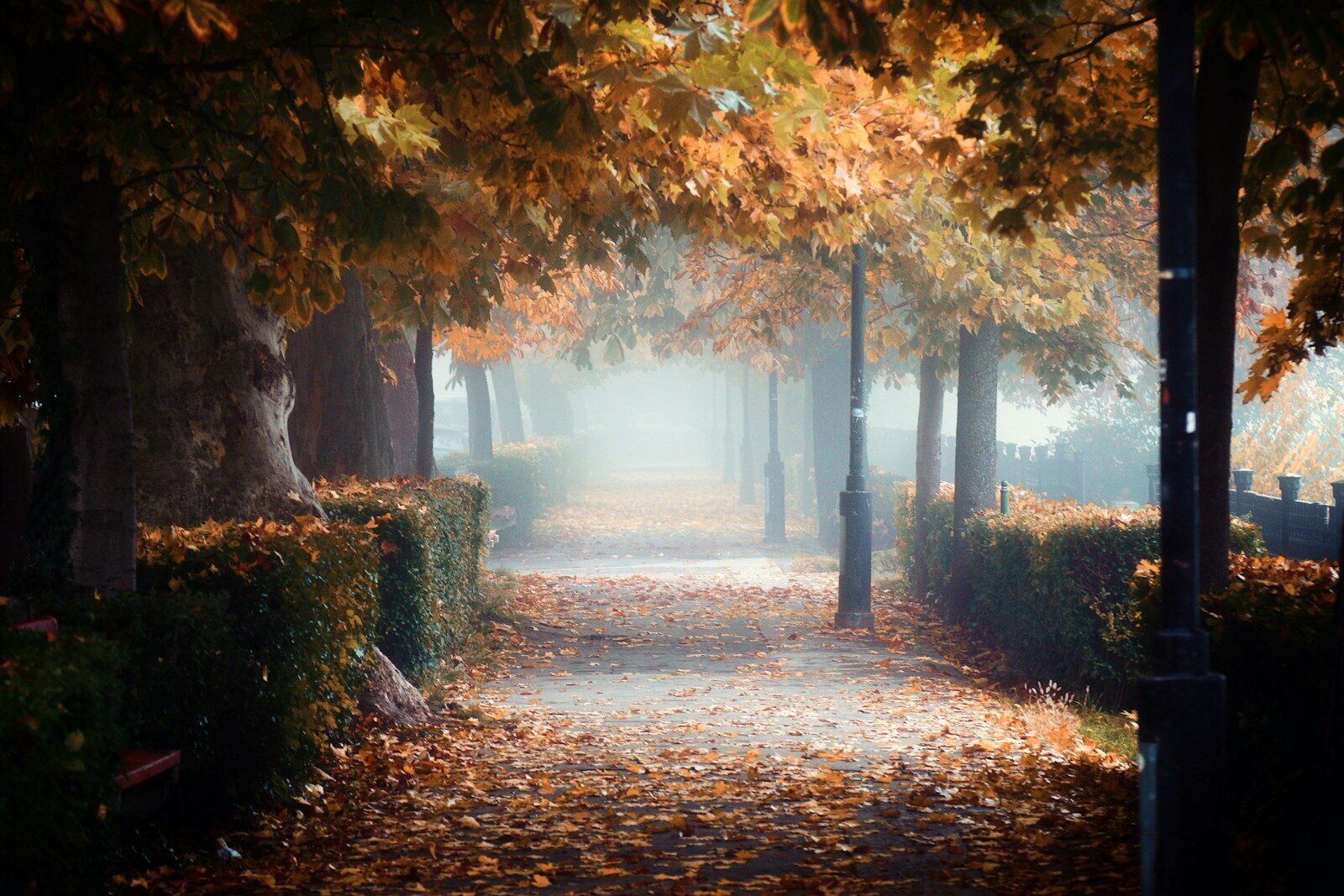 The 10 coldest fall seasons on record in America