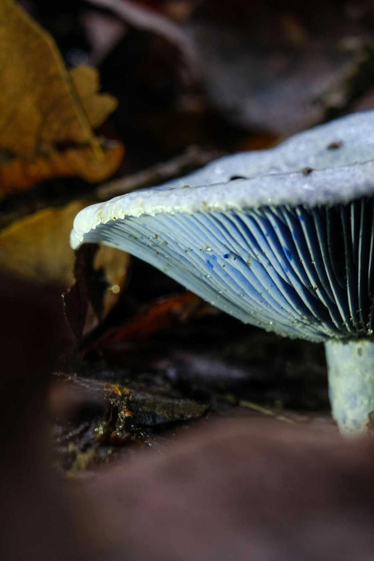 6 places in the US where travelers can hunt, fish, or forage for their ...