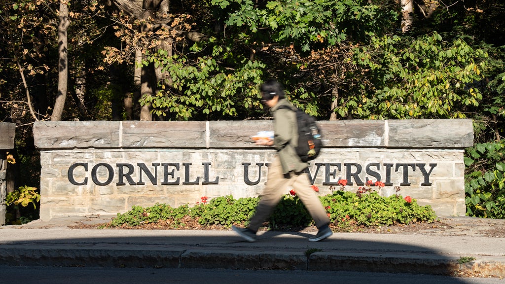 Cornell Faculty Senate rejects effort to delay vote of no confidence in school's administration