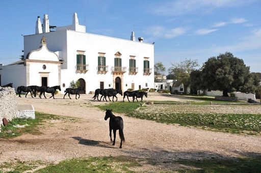 Adsi e Confagricoltura celebrano il patrimonio rurale italiano