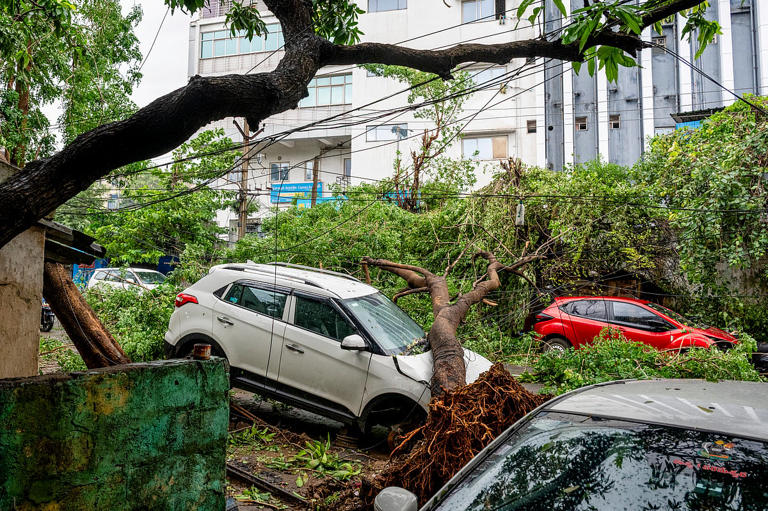 Cyclone Arnab leaves trail of destruction in Andhra, five killed as ...