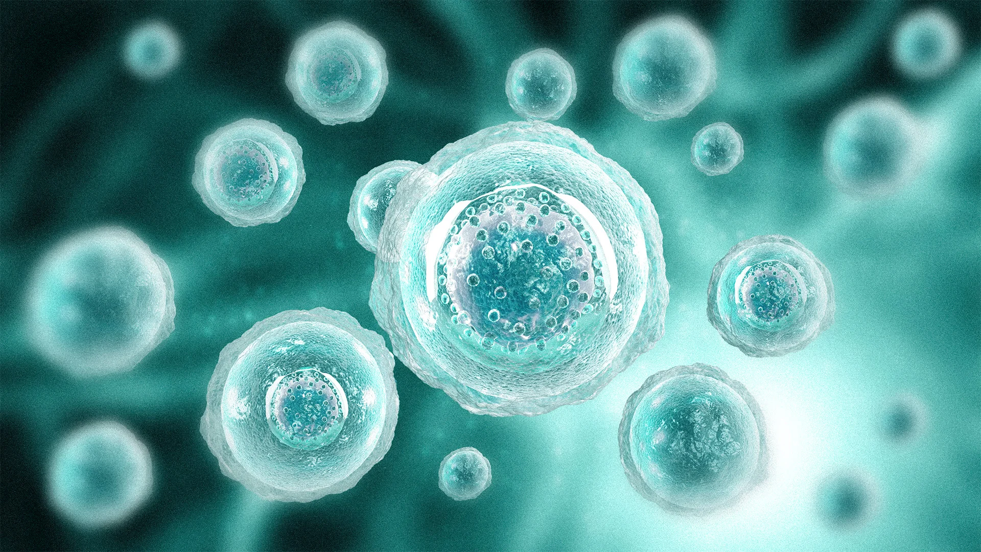 Scientists found a protein that helps cells burn fat. It doesn’t target ...