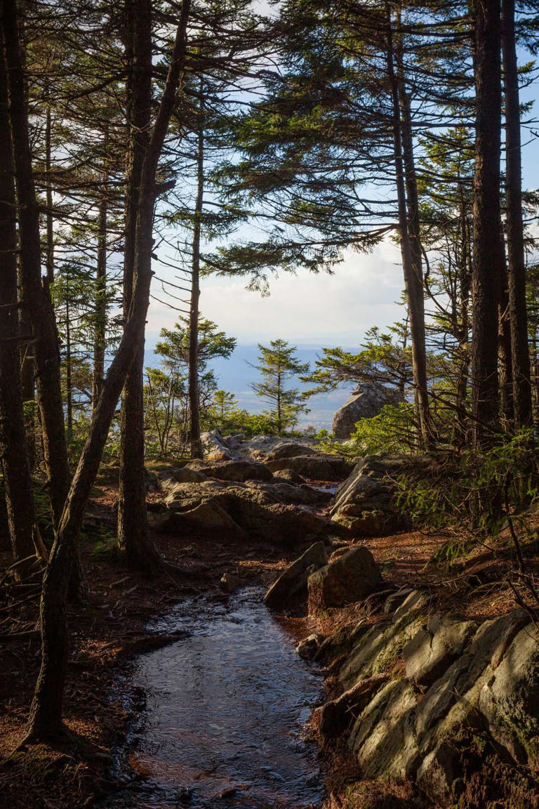 6 places in the US where travelers can hunt, fish, or forage for their ...