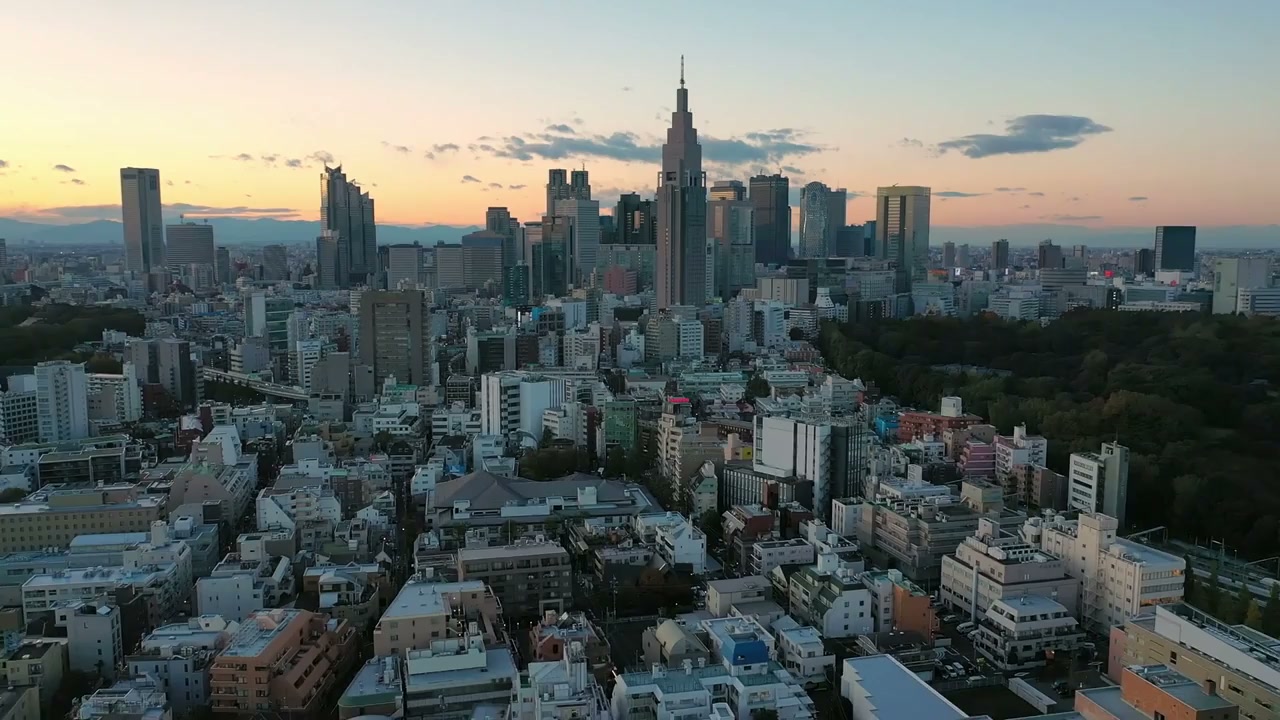 Electric nights: Shinjuku's neon labyrinth