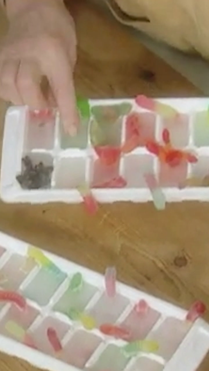 Martha Stewart’s candy bug ice cubes