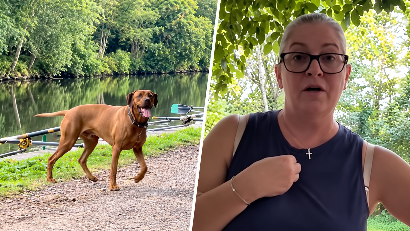 Woman says she's scared of dogs after a previous attack then a dog ...