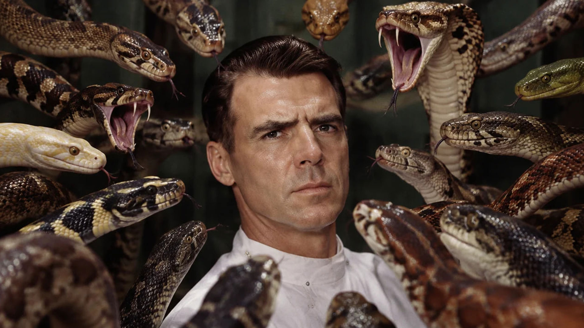 This man survived 172 snake bites — and lived to 100