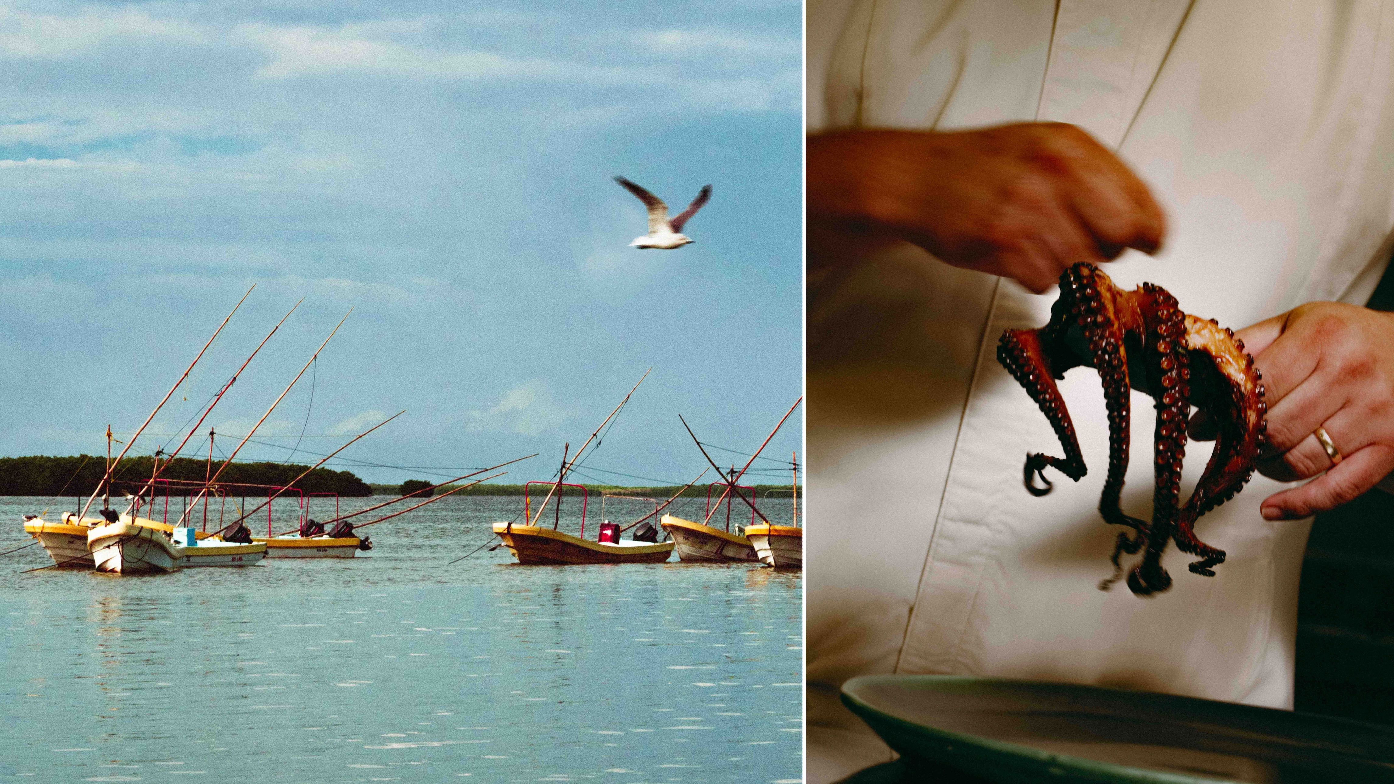 A day at sea with the octopus fisherman of the Yucatán