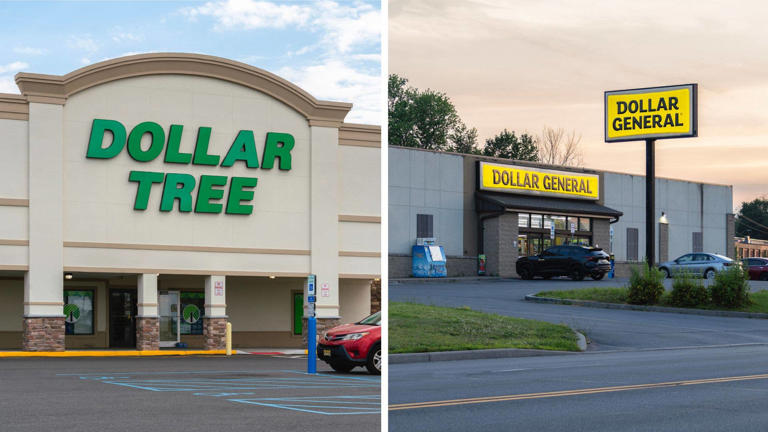 I bought the same grocery basics at Dollar General and Dollar Tree—one ...