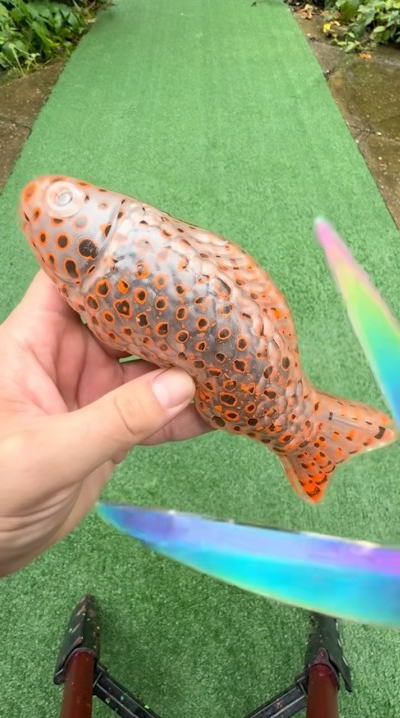 A satisfying fish water burst and pop