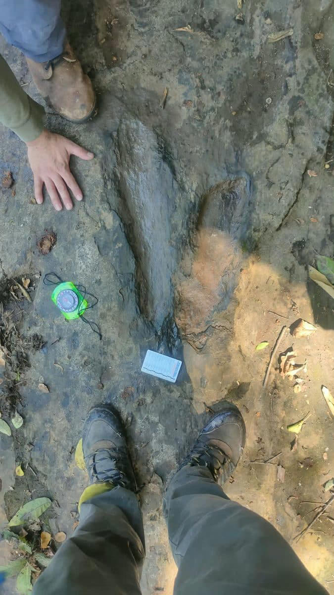 Villagers spotted strange marks by a Mexican stream. They turned out to ...