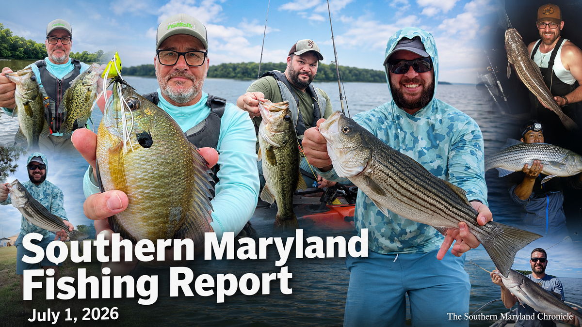 Mixed bay fishing reports as July begins in Southern Maryland