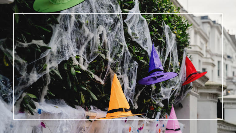 Why wildlife experts say you should avoid outdoor fake cobwebs this ...