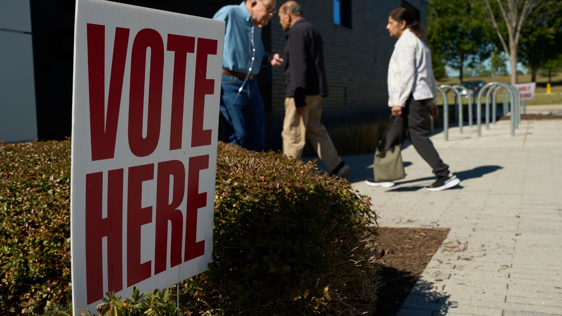 Who's watching the vote? A guide to poll watchers, observers and monitors